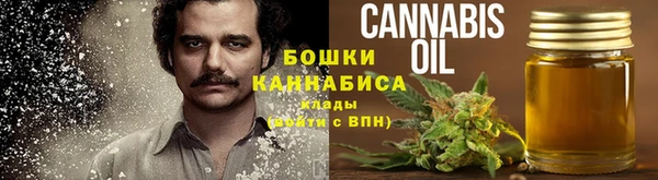 ПСИЛОЦИБИНОВЫЕ ГРИБЫ Богородск