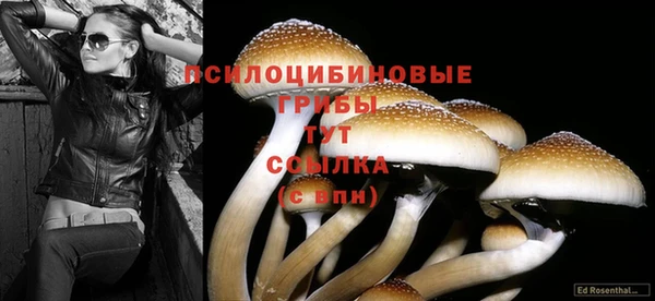 MESCALINE Богородицк