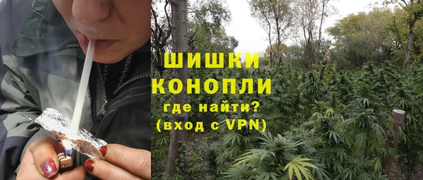 ПСИЛОЦИБИНОВЫЕ ГРИБЫ Богородск