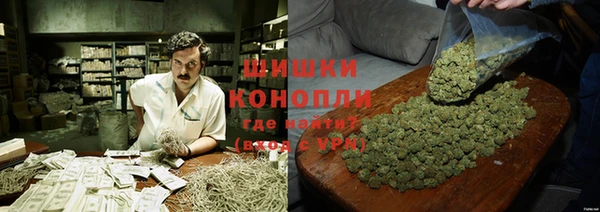 ПСИЛОЦИБИНОВЫЕ ГРИБЫ Богородск