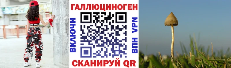 гидра как зайти  Энгельс  Псилоцибиновые грибы ЛСД  магазин продажи  